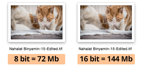 File Sizes