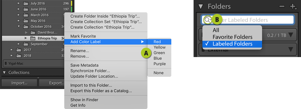 Filter Labeled Folders