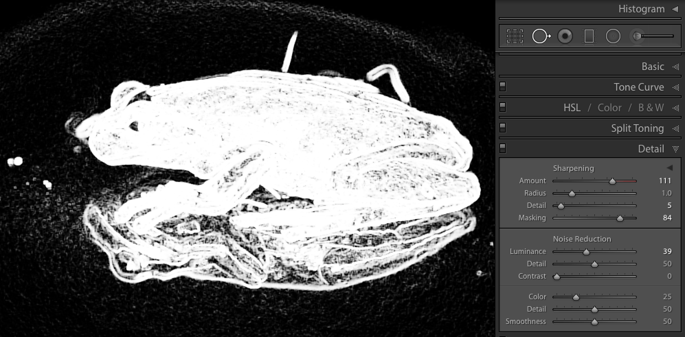 Reduce Noise Using Healing Brush