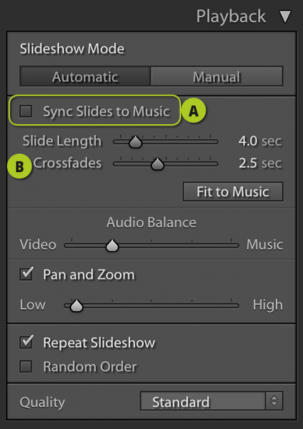 Playback Options 1