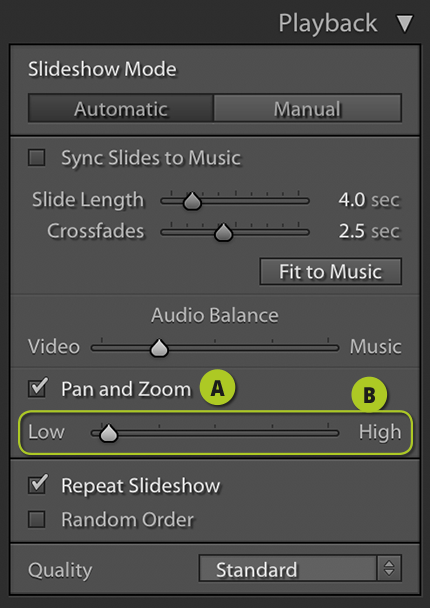 Playback Options 2