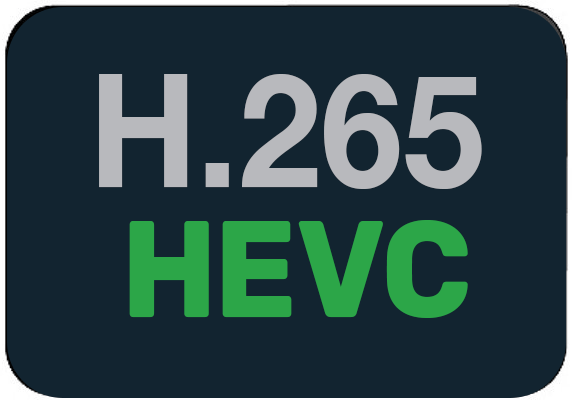 HEVC Logo
