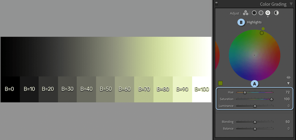 Color Grading דוגמא 4